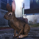 Illustration for article titled iGTA Online/i Players Are Having Fun As Animals
